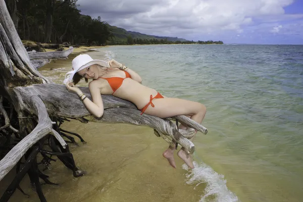 Chica en bikini rojo y sombrero se sienta en un árbol muerto — Foto de Stock