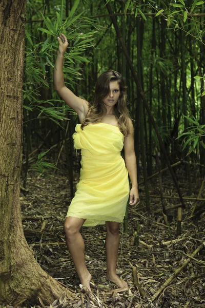 Έφηβη σε ένα μπαμπού δάσος — Φωτογραφία Αρχείου
