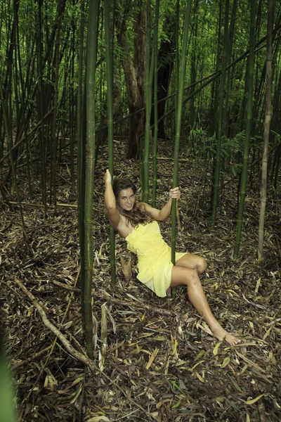 Teenage girl in a bamboo forest — Stock Photo, Image