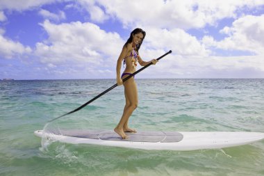 Brunette in bikini on her stand up paddle board clipart