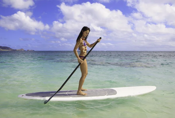 Morena en bikini en su stand up paddle board —  Fotos de Stock