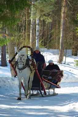 Horse sledge clipart