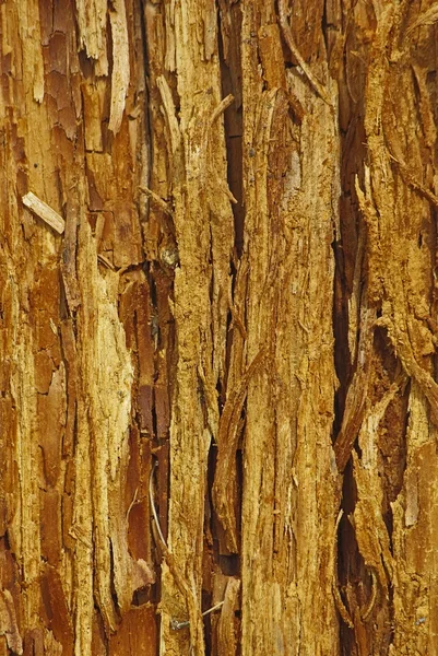 썩은 나무 배경 — 스톡 사진