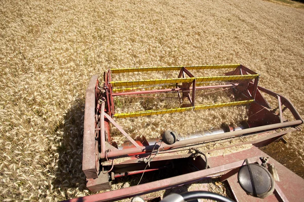 stock image Combine Harvester in field