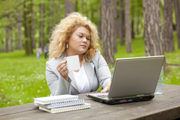 Γυναίκα χρησιμοποιώντας φορητό υπολογιστή στο πάρκο — Φωτογραφία Αρχείου