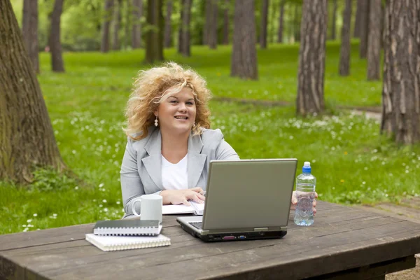 Donna che utilizza il computer portatile nel parco — Foto Stock