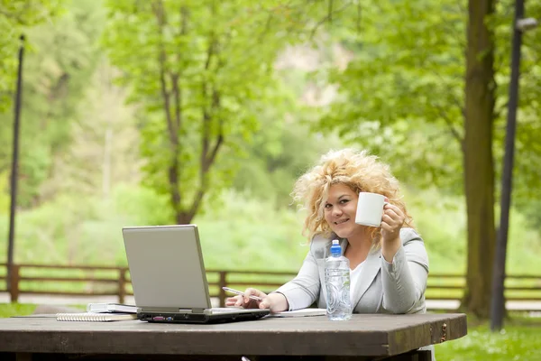 Γυναίκα χρησιμοποιώντας φορητό υπολογιστή στο πάρκο και πόσιμο — Φωτογραφία Αρχείου
