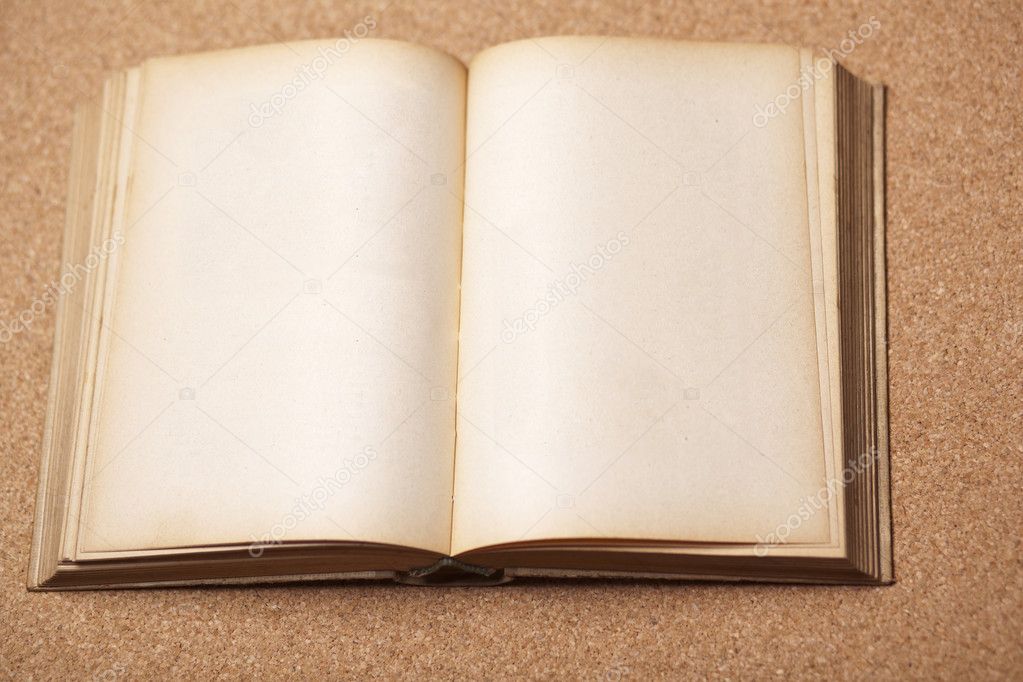 Old Empty Book Stock Photo by ©adam_r 6281056