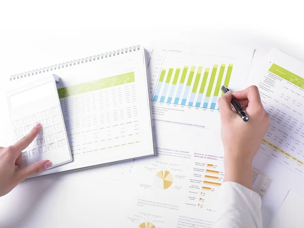 Analyzing Business Data — Stock Photo, Image
