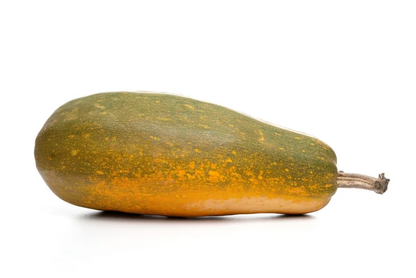 Single fresh pumpkin — Stock Photo, Image