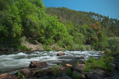 nehir su akışı