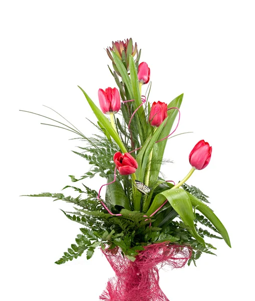 Bouquet de belles tulipes rouges — Photo