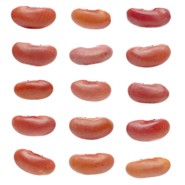 Conjunto de feijão vermelho — Fotografia de Stock