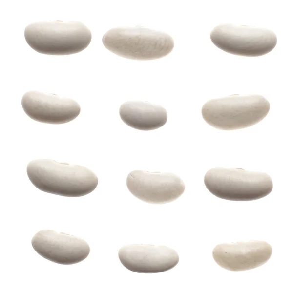 Set van witte bonen — Stockfoto