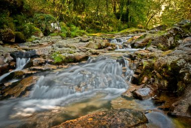 River stream in Portugal clipart