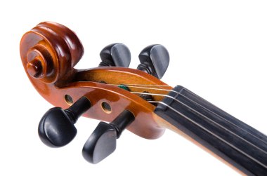 Violin close up clipart