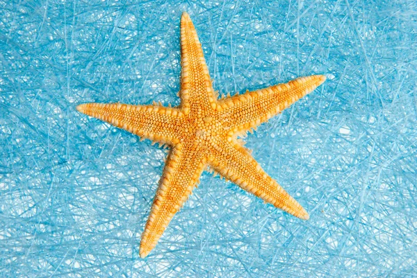 海洋之星 — 图库照片