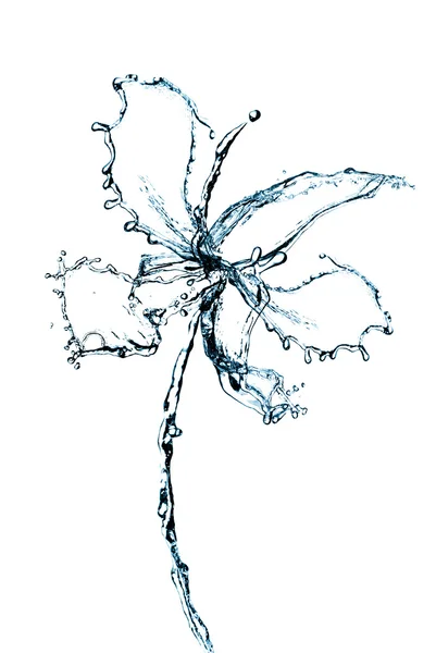 Orkidé blomma vatten — Stockfoto