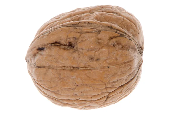 간단한 wallnut — 스톡 사진