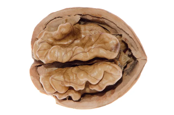 Crack walnut — Stock Photo, Image