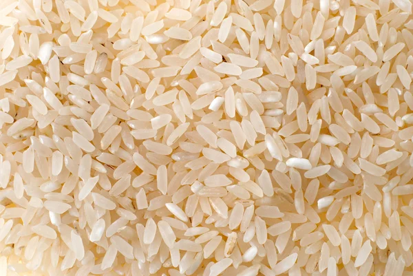 Contexte du riz naturel — Photo