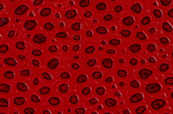 Rotes Leder Bucheinband Detail — Stockfoto