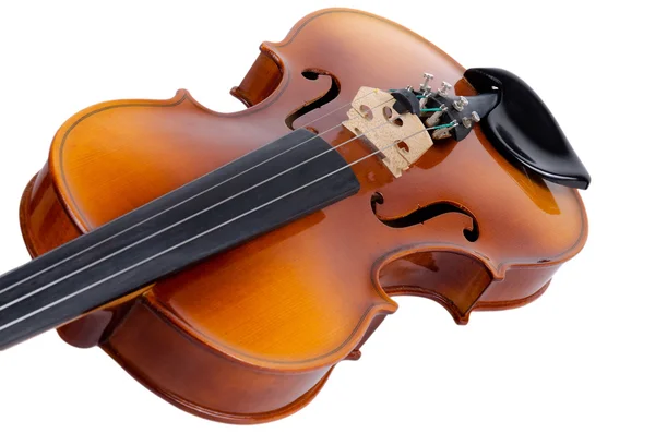 Violino da vicino — Foto Stock