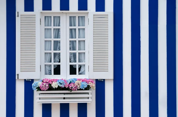 Krásné typické okno — Stock fotografie