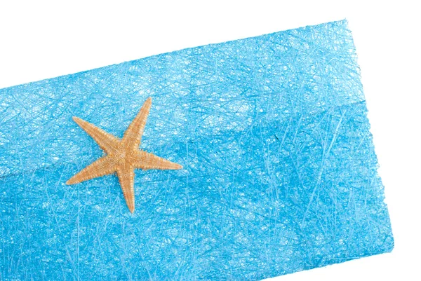 Deniz yıldızı mavi zarf — Stok fotoğraf
