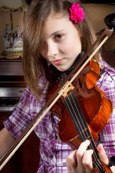 stock image Girl and Violin