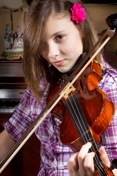 Stock image Girl and Violin