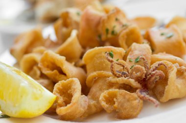 Fried Calamari clipart