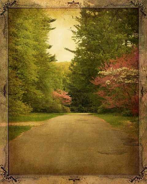 Vintage Path — Stock Photo, Image
