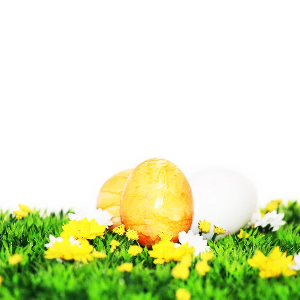 Sárga húsvéti motívum — Stock Fotó