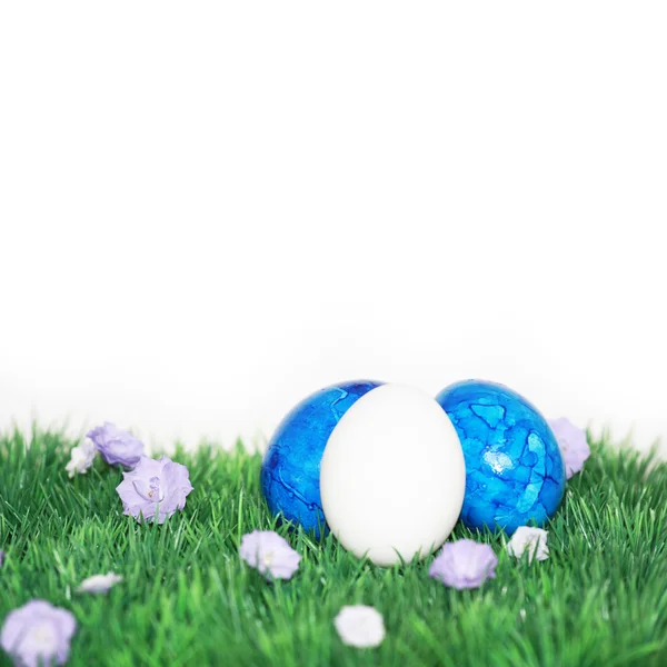 Weißes Ei im Vordergrund — Stockfoto