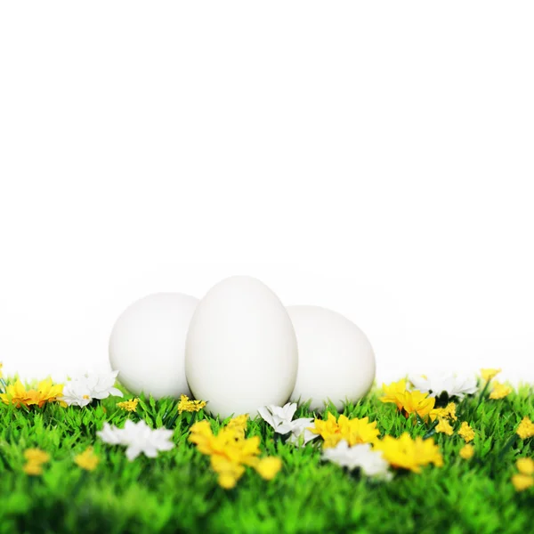 3 uova bianche — Foto Stock