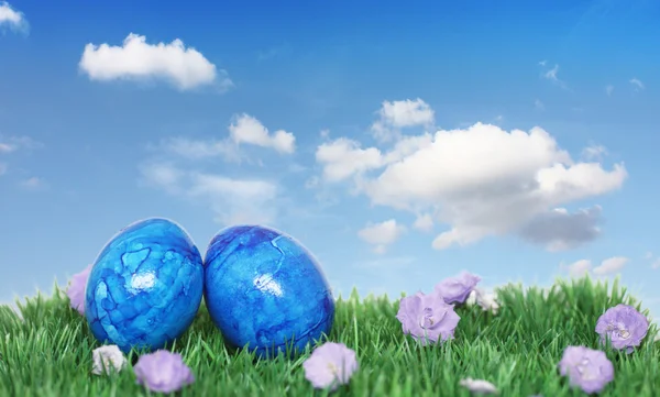 Decoration with blue eggs — Stock Photo, Image