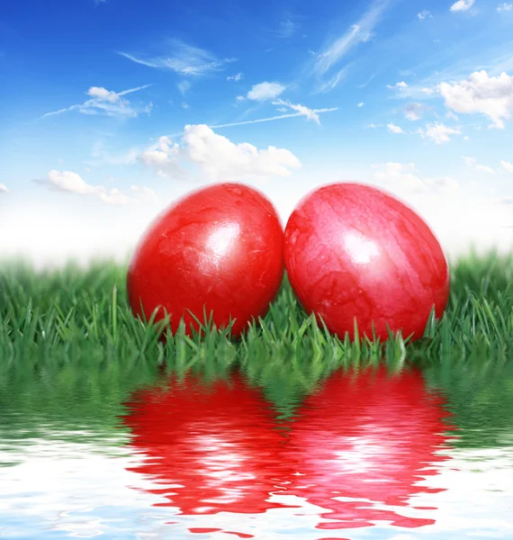 Ovos vermelhos na grama — Fotografia de Stock