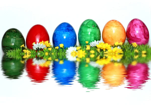 Kleurrijke mix van eieren — Stockfoto