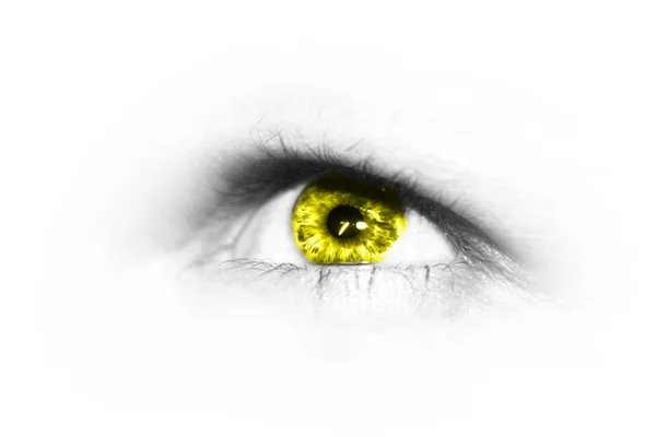 Жовтий Ірис — стокове фото