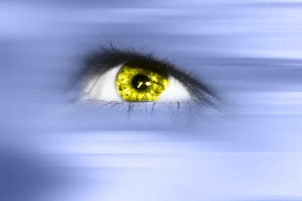 "眼睛"概念 — 图库照片