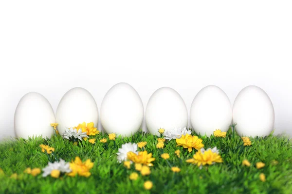 Белые яйца для покраски — стоковое фото