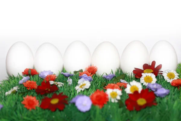 Белые яйца на цветном лугу — стоковое фото
