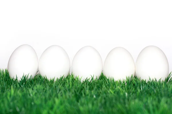 Huevos blancos — Foto de Stock