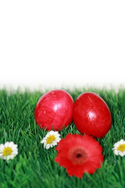 Red Easter eggs in grass — Stock Photo, Image