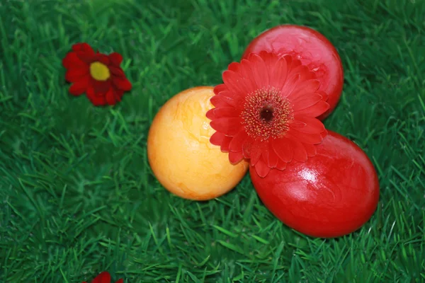Ostereier mit roter Blume — Stockfoto