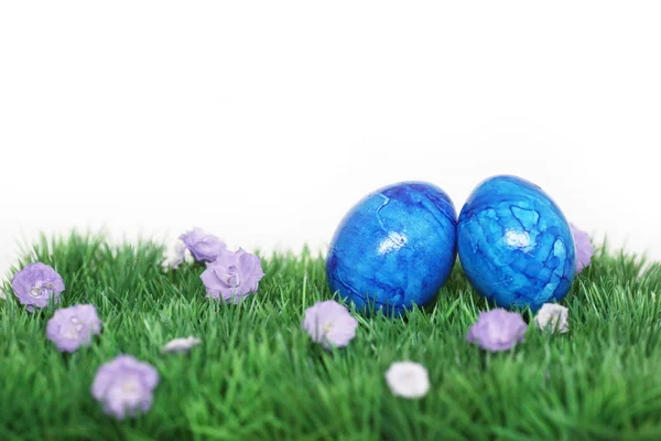 Twee blauwe eieren — Stockfoto