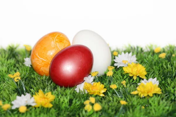 Belle uova di Pasqua — Foto Stock