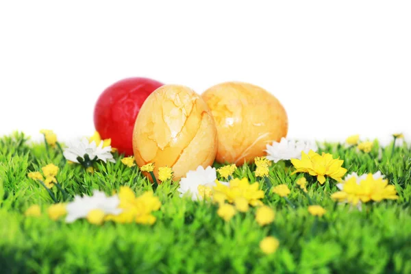 Sarı ve kırmızı Paskalya yumurtaları — Stok fotoğraf