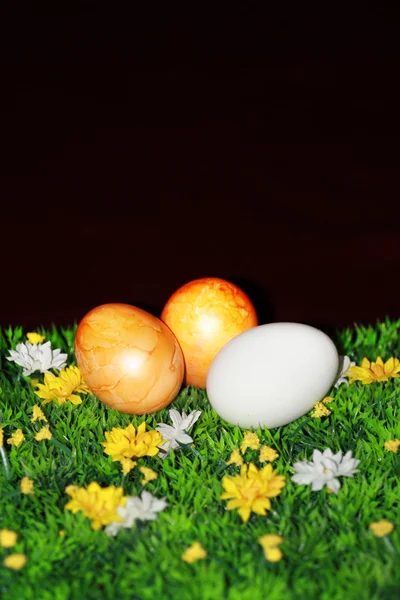 3 부활절 달걀 — 스톡 사진